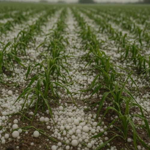 Sistemul antigrindină suspendat temporar în județul Iași