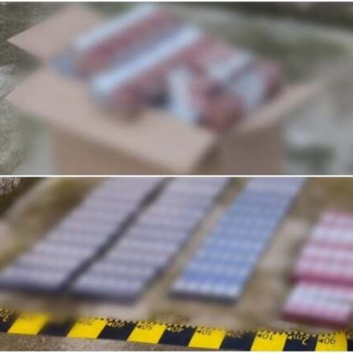 Percheziție la Lugoj pentru contrabandă cu țigări