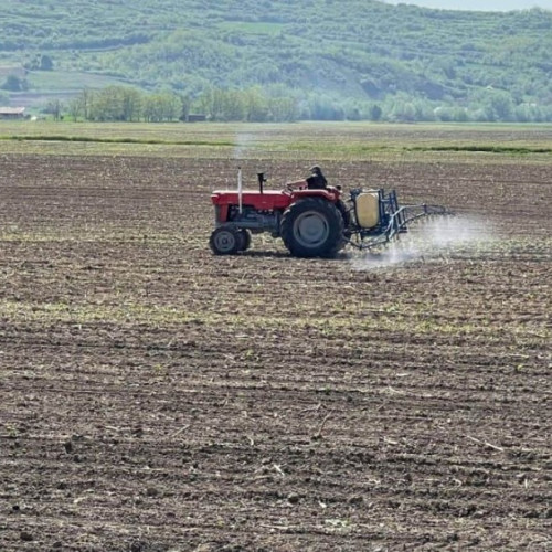 Agricultori, bani de la stat: cereri, finanțare și acte. Precizări APIA