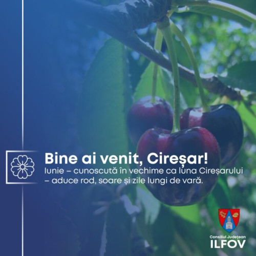 Consiliul Județean Ilfov marchează începutul lunii iunie cu mesaj de bucurie și reflecție