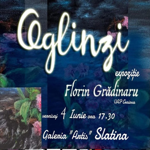 Expozitia "Oglinzi" a artistului Florin Gradinaru, deschisa la Slatina