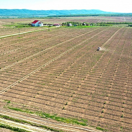 Dorin Bob, antreprenor cunoscut în Transilvania pentru activitățile sale din domeniul agricol și imobiliar, a reușit să obțină două surse de finanțare europeană în valoare totală de 4,6 milioane de euro. Potrivit satumareonline.ro, fondurile vor fi utilizate pentru extinderea culturilor de aluni în județul Satu Mare, prin înființarea de noi plantații, reconversia unor livezi existente și instalarea de sisteme moderne de irigație, precum și dotarea cu echipamente de ultimă generație.