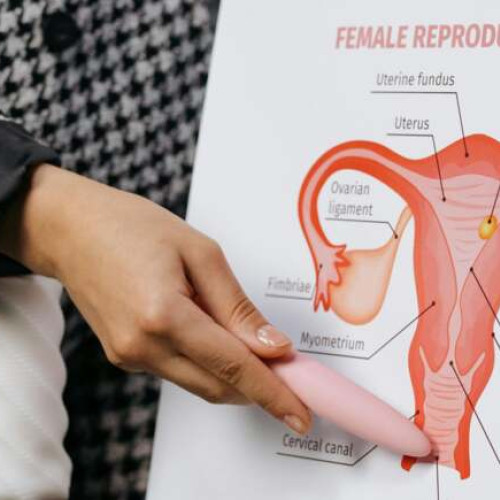 Eveniment dedicat femeilor, organizat de comunitatea SHE Talks Ro, va avea loc la venue Timişoara şi este destinat celor interesate să înţeleagă mai bine corpul lor în perioada de tranziţie. Potrivit site-ului tion.ro, evenimentul va avea loc într-un cadru elegant şi prietenos, fiind deschis tuturor femeilor.