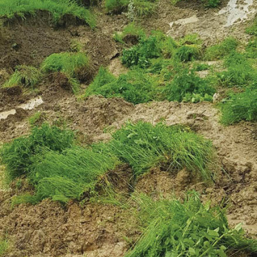 A fost descoperită o problemă de siguranță la un obiectiv important din județul Prahova