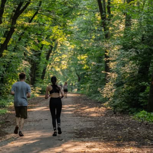Asociația Parcului Natural Văcărești cere Guvernului să nu permită traficul auto în pădurea Băneasa