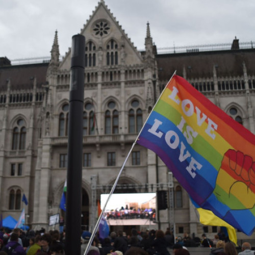 Curtea Constituțională a Ungariei decide recunoașterea uniunilor de fapt pentru cuplurile de același sex