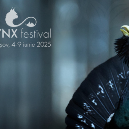 LYNX Festival 2024 a avut startul miercuri, 4 iunie, la Centrul Cultural Reduta, unde a avut loc Gala de deschidere, conform newsbv.ro. Evenimentul a fost urmat de proiectia filmului "Europe - one continent, five worlds" (regia Christian Baumeister), cea mai ambitioasă producție germană despre biodiversitatea Europei. După vizionare, publicul a participat la o discuție despre conservarea naturii, alături de biologul cu peste 20 de ani de experiență Calin Hodor.