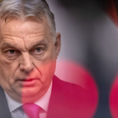 Copac căzut pe tramvai în Sectorul 5 din Capitală, fără victime