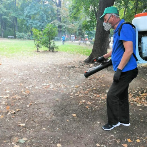 Dezinsecție în oraș: Administrația anunță reduceri ale riscului pentru sănătate