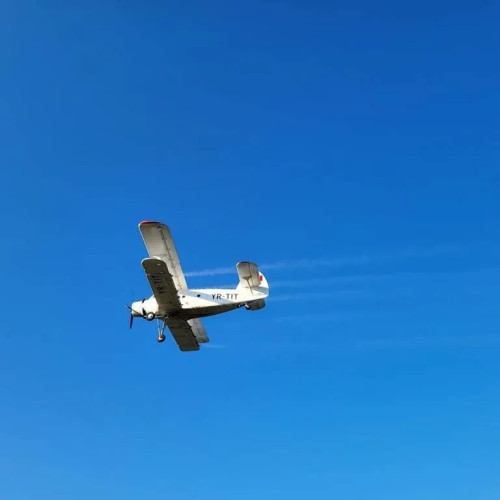 Primăria Craiova va efectua dezinsecții pentru combaterea insectelor dăunătoare în mai multe zone ale orașului, inclusiv lacurile din parcuri și grădini publice, conform site-ului editi.ro. Vor fi vizate lacurile din Parcul &quot;Nicolae Romanescu&quot;, Lacul Tanchistilor, Lacul Valea Fetii, Lacul Facai, lacul din Grădina Botanică, Lacul Valea Sarpelui și cel de la Hanul Doctorului. De asemenea, parcurile, grădinile și zonele verzi din cartiere vor fi incluse în programul de dezinsecție, care acoperă aproape 800 de hectare.