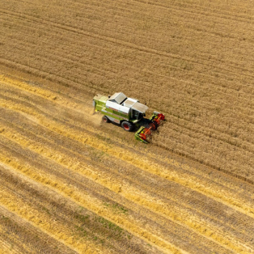 Indicele global al prețurilor alimentare a înregistrat o scădere în luna mai, datorită reducerii cotelor la cereale, zahăr și uleiuri vegetale, potrivit FAO, citează digi24.ro. Organizația Națiunilor Unite pentru Alimentație și Agricultură (FAO) publică lunar Food Price Index, care măsoară variațiile de preț ale unui coș de alimente format din cereale, uleiuri vegetale, lactate, carne și zahăr.