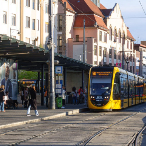 Protest în Budapesta pentru reducerea taxelor impuse de guvern