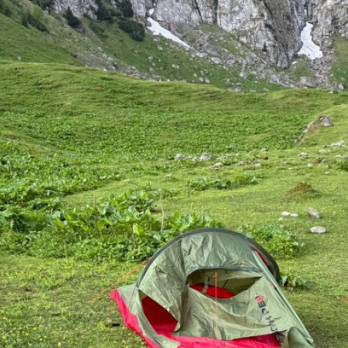 Familie nevoită să plece din cauza unui urs în zona Malaiesti, județul Brașov