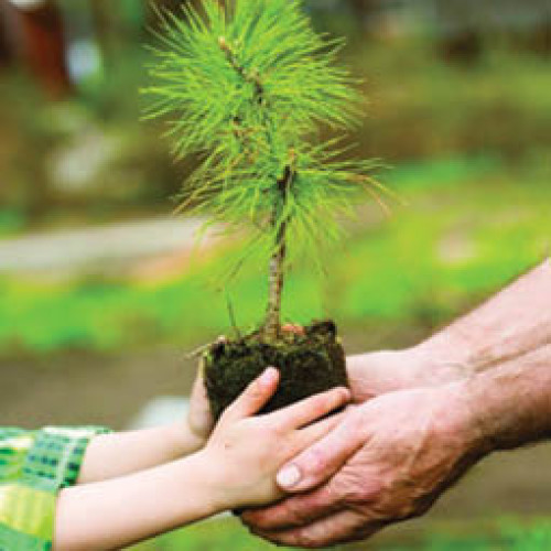 eveniment dedicat Zilei silvicultorului la muzeul cinegetic posada