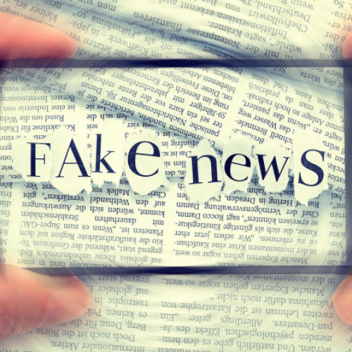 Un raport recent publicat de Institutul Internațional pentru Democrație și Asistență Electorală (IDEA), citează că în timpul anului 2024 au avut loc zeci de alegeri în întreaga lume, fiind marcate de probleme majore legate de dezinformare și violență. Potrivit studiului, cel puțin 80% din cele 54 de alegeri monitorizate de IDEA au fost afectate de narative false sau manipulări.