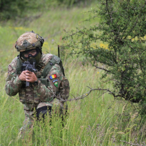 exercițiu multinational Saber Guardian 25 reunite peste 5.000 de militari din patru tari