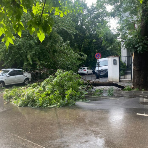 Ploile torențiale și furtunile de luni după-amiază au provocat distrugeri în Capitală, unde zeci de copaci au căzut pe străzi și bulevarde. Potrivit ISU București - Ilfov, echipele de intervenție au fost mobilizate pentru a evacua copacii și pentru a preveni alte incidente.