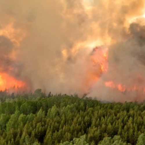 incendiile de vegetație continuă să se extindă în Canada