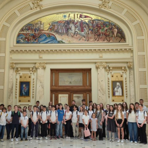 incidente rutiere în Ilfov Cu mai multe mașini avariate