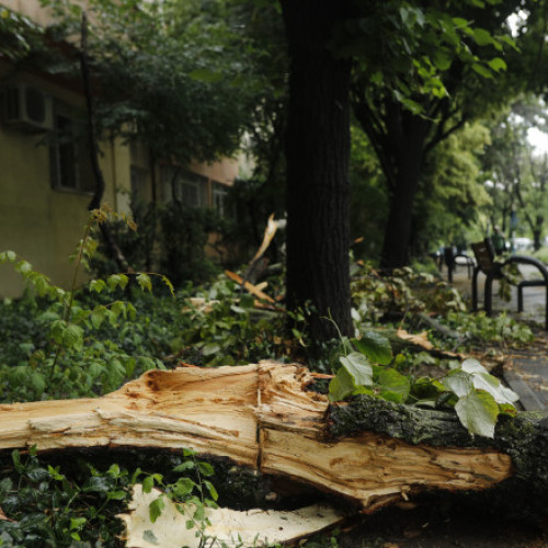 Furtună puternică a provocat haos în București și Ilfov