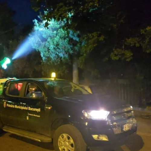 reduceri majore împotriva țânțarilor în București: începe cel de-al patrulea tratament