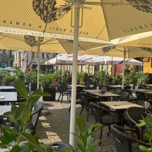 Primăria Lugoj înfrumusețează piața centrală cu plante verzi