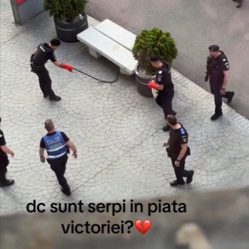 Un șarpe a fost observat în centrul Bucureștiului, la Piața Victoriei, miercuri seara