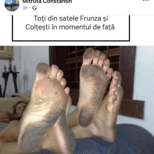 Razboi pe Facebook din cauza unui tablou cu picioare murdare în comuna Logrești