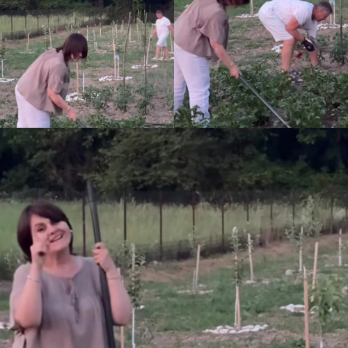 surpriză matinală pentru fanii Niculinei Stoican