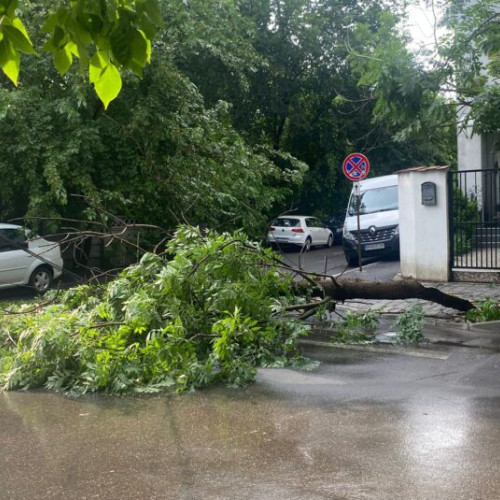 Număr mare de dosare de daună, deschise din cauza calamităților naturale