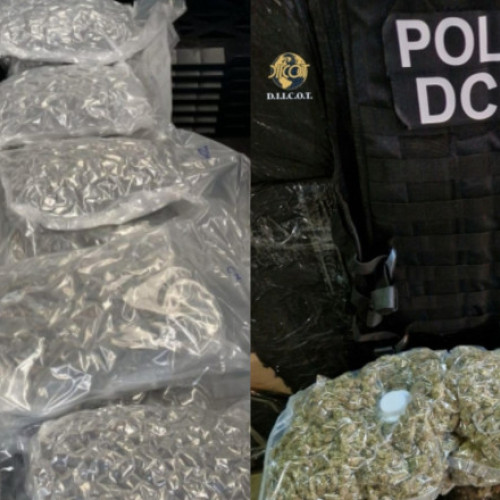 Grupare de trafic de substanțe psihoactive destructurată în București și Ilfov