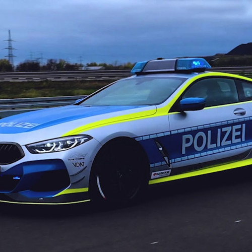 român prins în germania pentru sacrificarea ilegală de oi în apartament