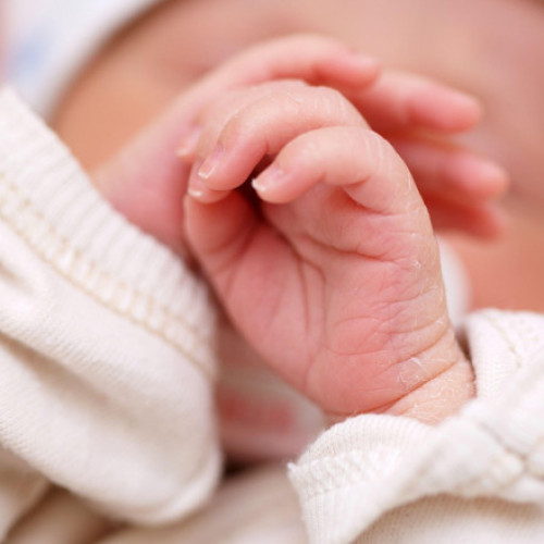 scăderea populației umane: ce s-ar întâmpla dacă nimeni nu s-ar mai naște