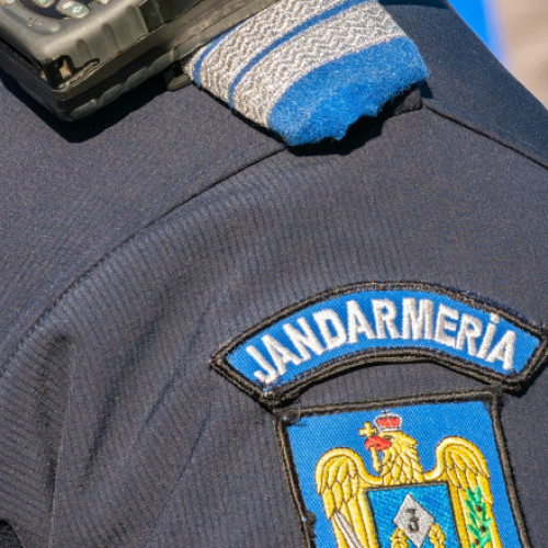 Patru slovaci amendați pentru intrarea cu mașini de teren într-o zonă protejată din România