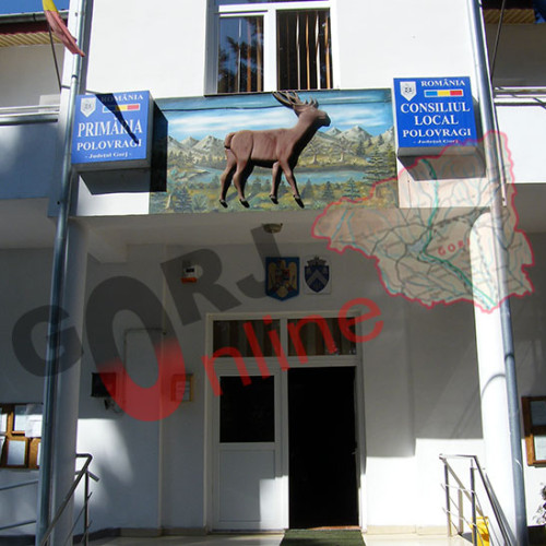 primaria comunei Polovragi vrea să obțină mai multe vehicule electrice pentru localitate