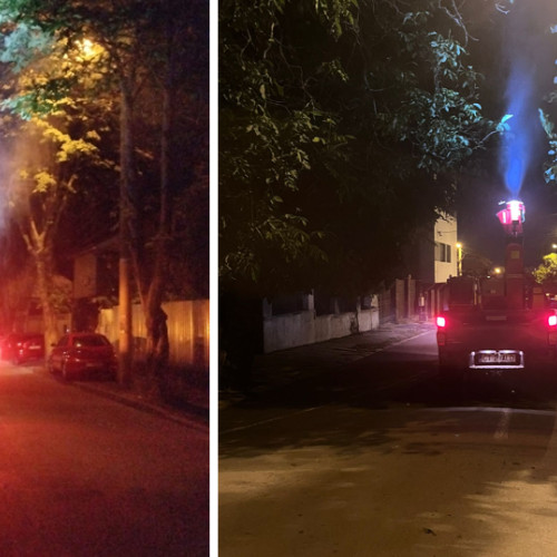 Dezinsecție intensivă în Constanța pentru combaterea insectelor