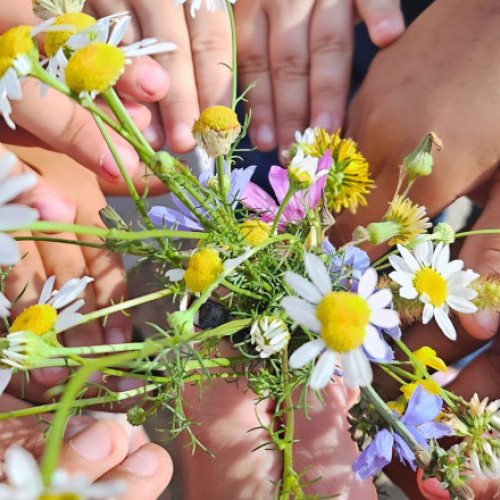 românia pierde mulți copii din cauza abandonului școlar, fiind pe primul loc în uniunea europeană în acest sens