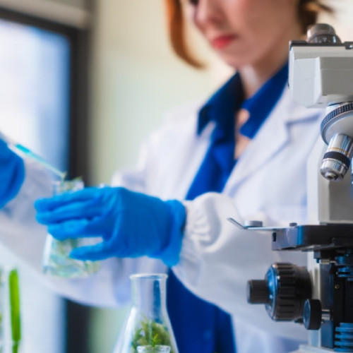 Noul test genomic pentru depistarea cancerului pancreatic aflat in faza incipienta in Marea Britanie