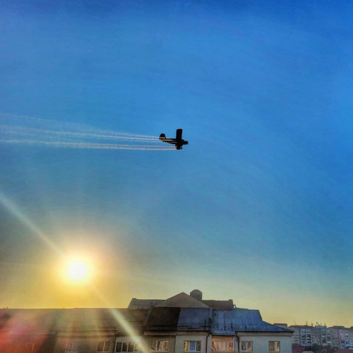 Primăria orașului Târgoviște a început o campanie de combatere a insectelor de disconfort