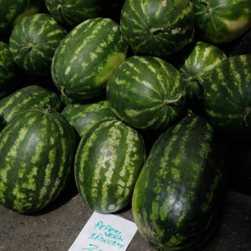 culturile de pepeni din dolj, în pericol de dispariție din cauza vremii și a costurilor