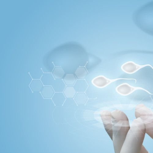 suedia și belgia vor discuta despre limitele donării de sperma în UE pentru a preveni incestul involuntar și problemele de sănătate