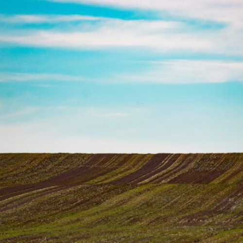 ere cu peste un milion de documente eliberate online de ANCPI în primele cinci luni ale anului 2025