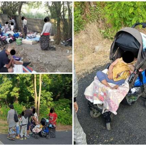 Activitate de igienizare în zona fostei unități militare din Timișoara