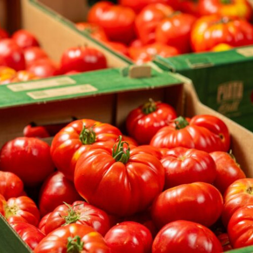 lidl românia introduce exclusiv roșii românești în piețe, după verificări riguroase