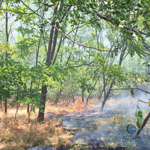 Incendiu de vegetație în Mehedinți