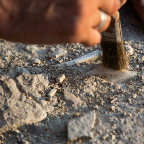 Urme umane de pasi în Parcul Național White Sands, în New Mexico, pot avea peste 23.000 de ani, conform unui nou studiu