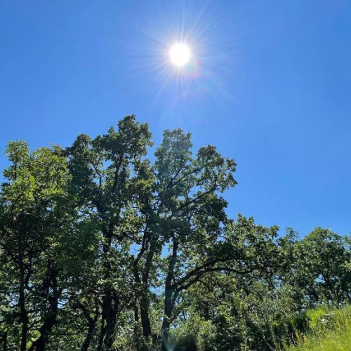 prognoza meteo până pe 21 iulie: temperaturi mai ridicate decât de obicei în România