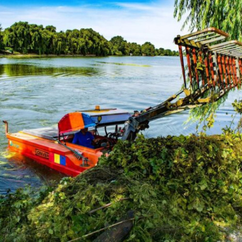 Acțiune de ecologizare a lacului Mogoșoaia în Ilfov