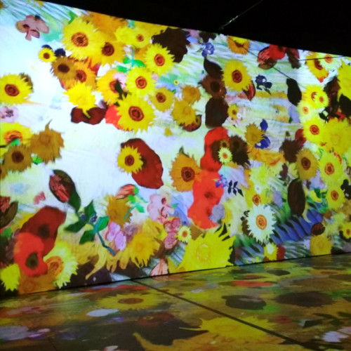 galateni vor putea experimenta arta și lumea subacvatica în muzeul imersiv MINA