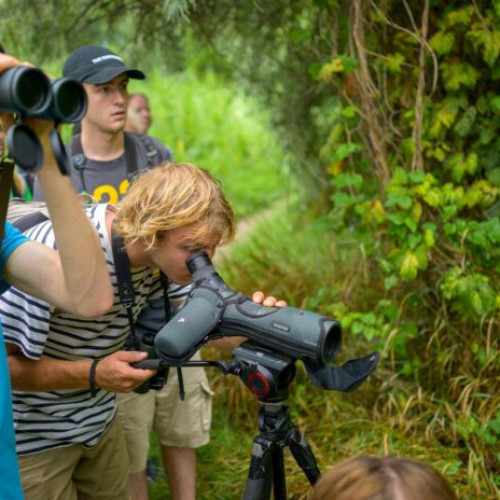 Parcul Natural Văcărești organizează o plimbare ghidată gratuită